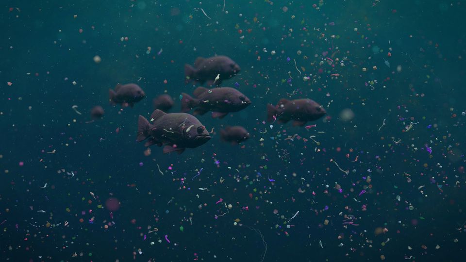 An illustration of fish swimming in the ocean surrounded by microplastics.