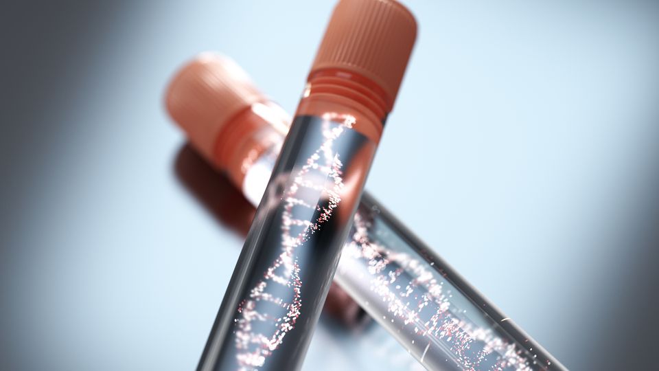 DNA in a test tube.