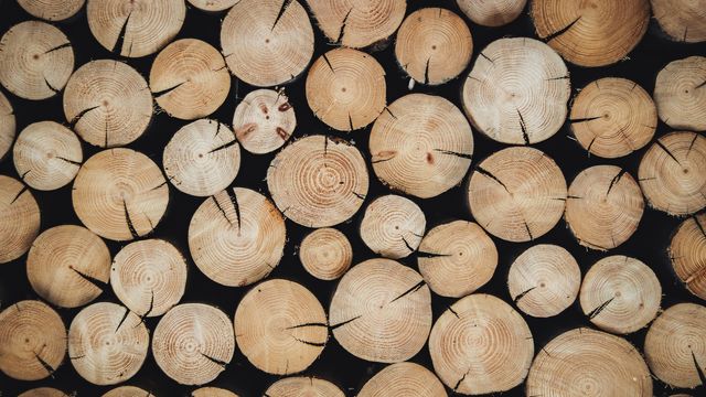 3D Printing of Wood