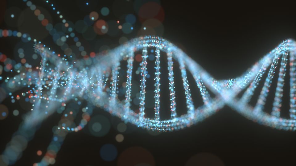 Double helix structure of DNA.