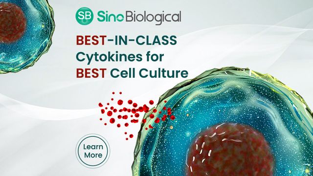 Cytokines for BEST Cell Culture 