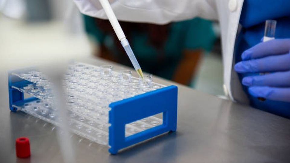 Testube for solid Tissue Samples 