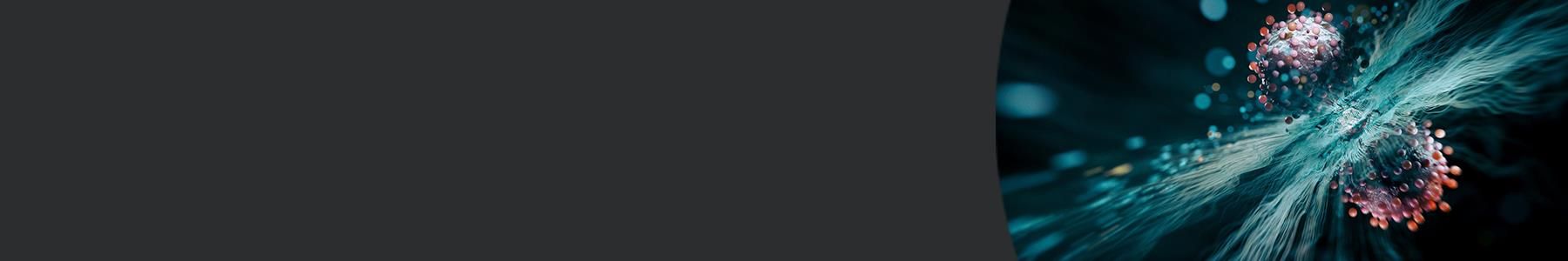 Next-Generation Plasma Lipidomics: Quantification With dia-PASEF ...