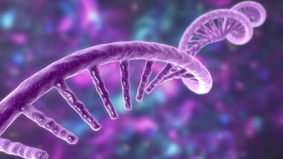RNA molecule.