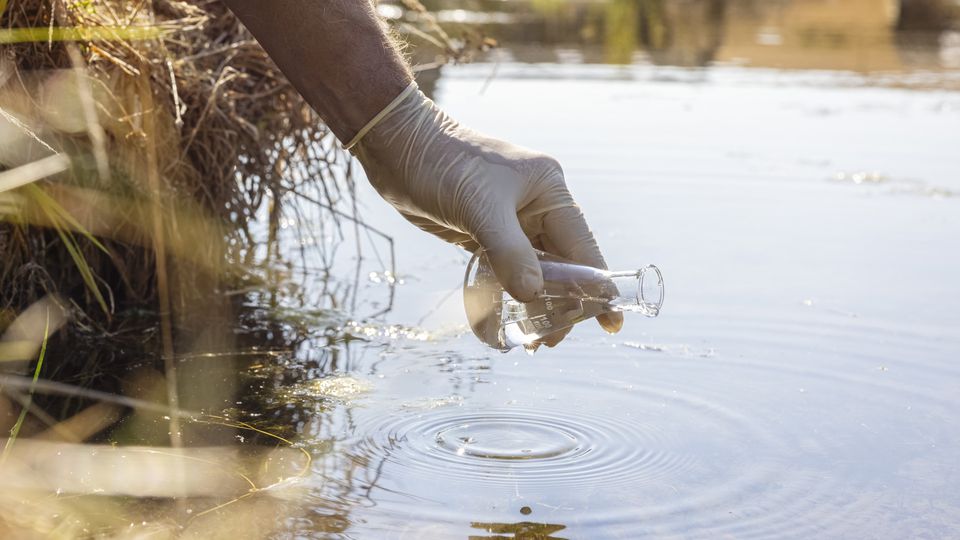 A researcher collects water from a pond using a conical flask.