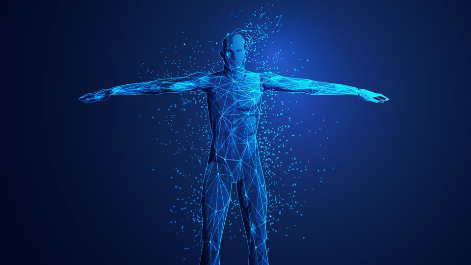 Illustration of a human form