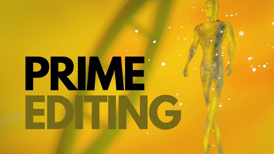 An image showing the words "prime editing".