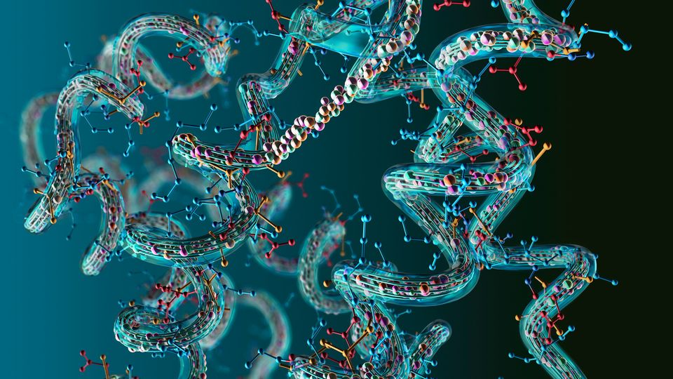 Protein structures.