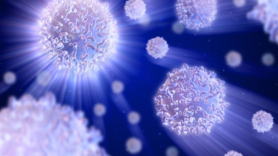 T cells.
