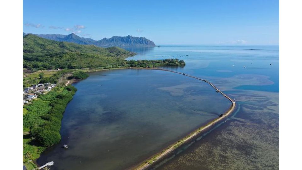 An arial view of a traditional fishpond.