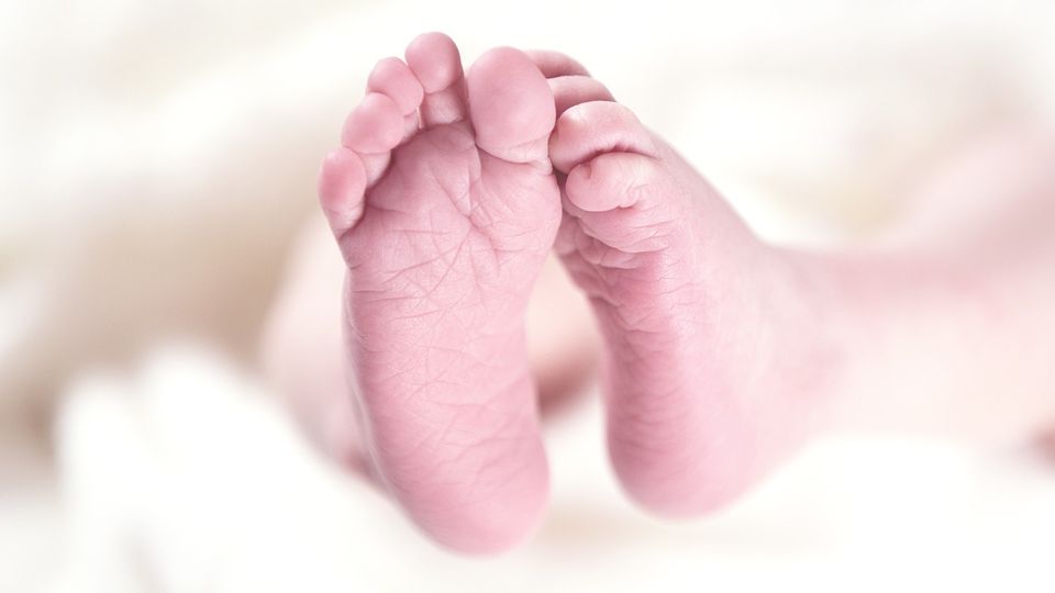 A newborn baby's feet.