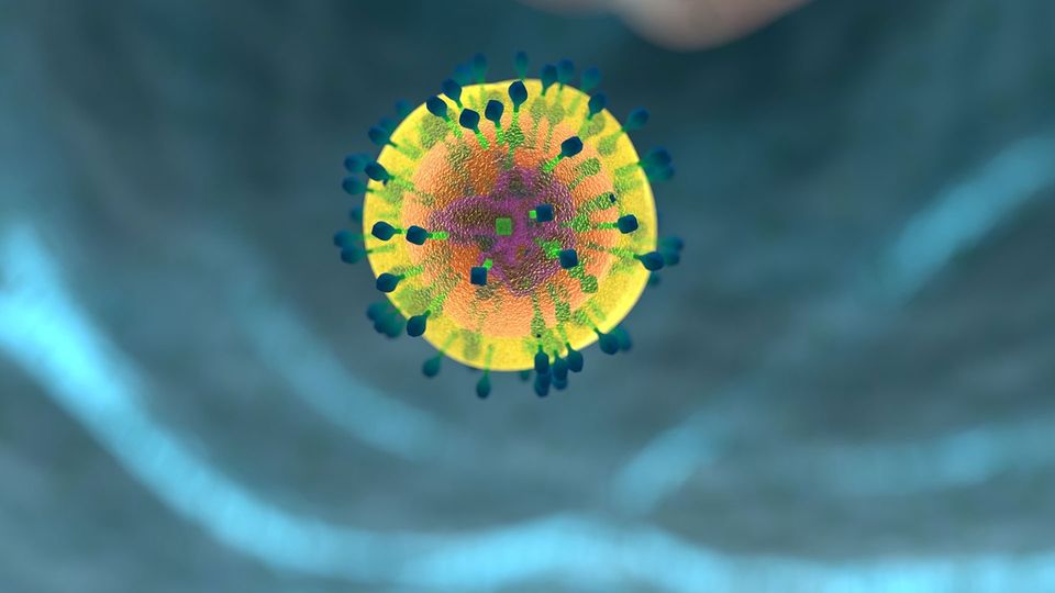 An immune cell.