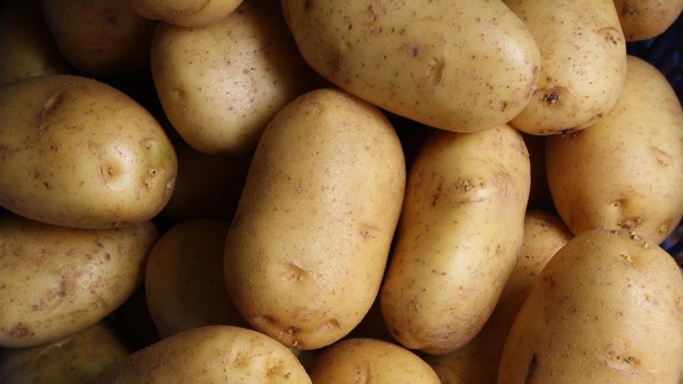 Potatos.