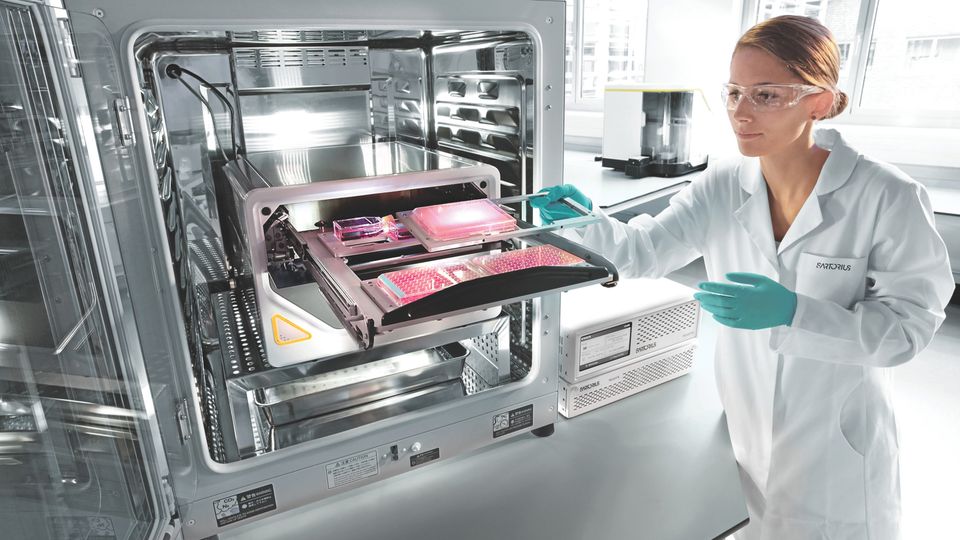 A scientist in a lab.