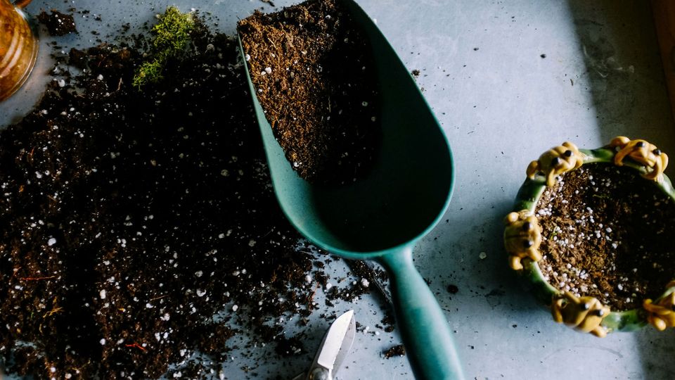 A trowel spills compost over a worktop. A plant pot sits next to it.