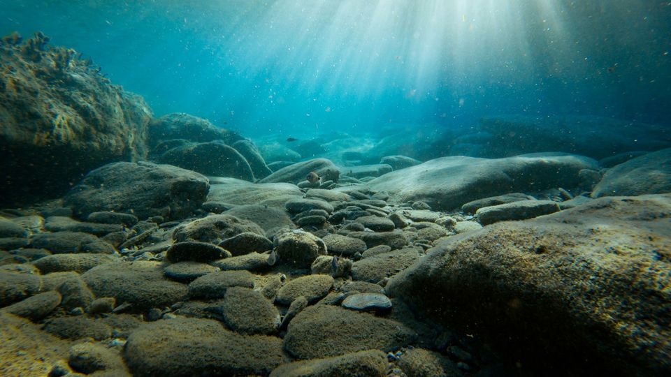 Sun beams hit the sea floor, covered in rocks.