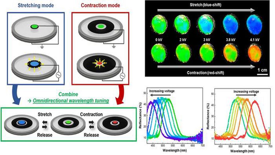 Schematic representation of a flexible, stretchable photonic device capable of structural color tuning in both long and short wavelength directions.