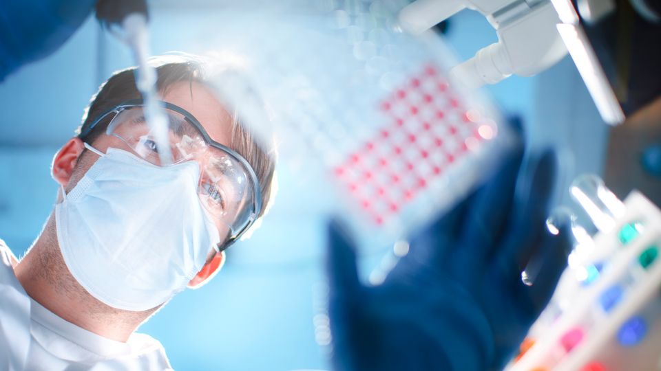 Scientist with an assay plate.
