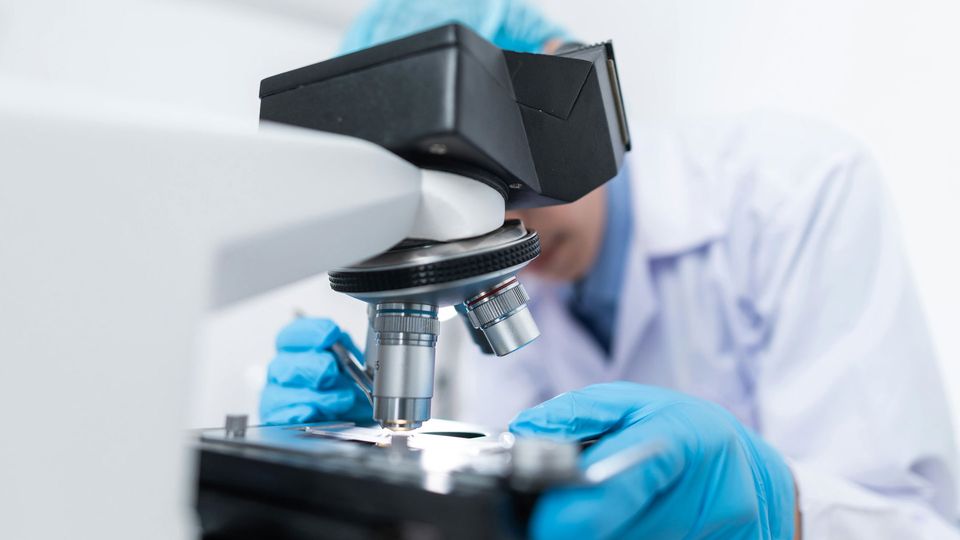 A scientist places a sample under a microscope