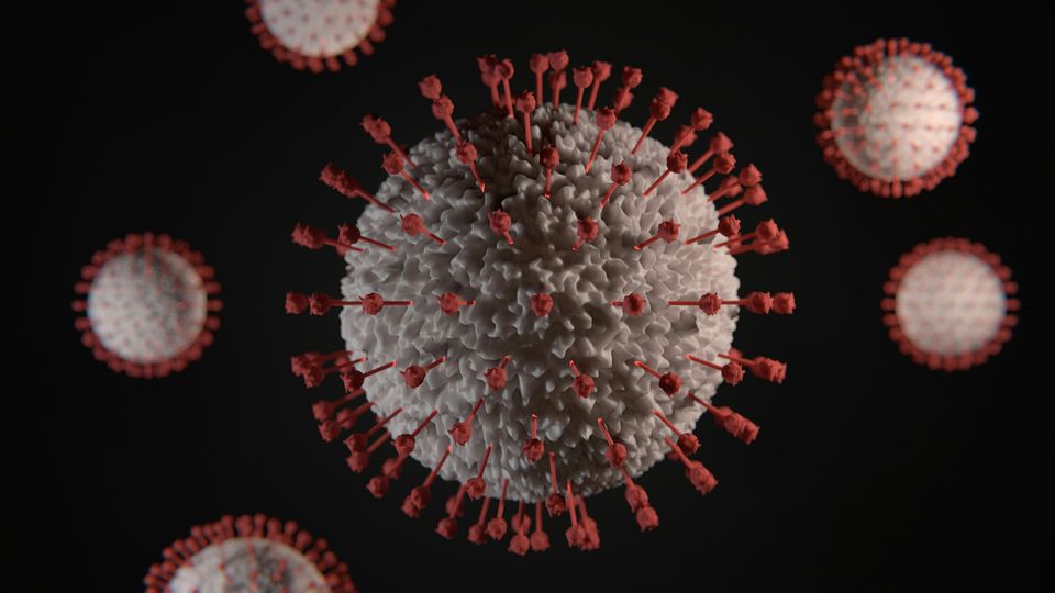 Image of a virus showing the spike proteins on the surface of the virus