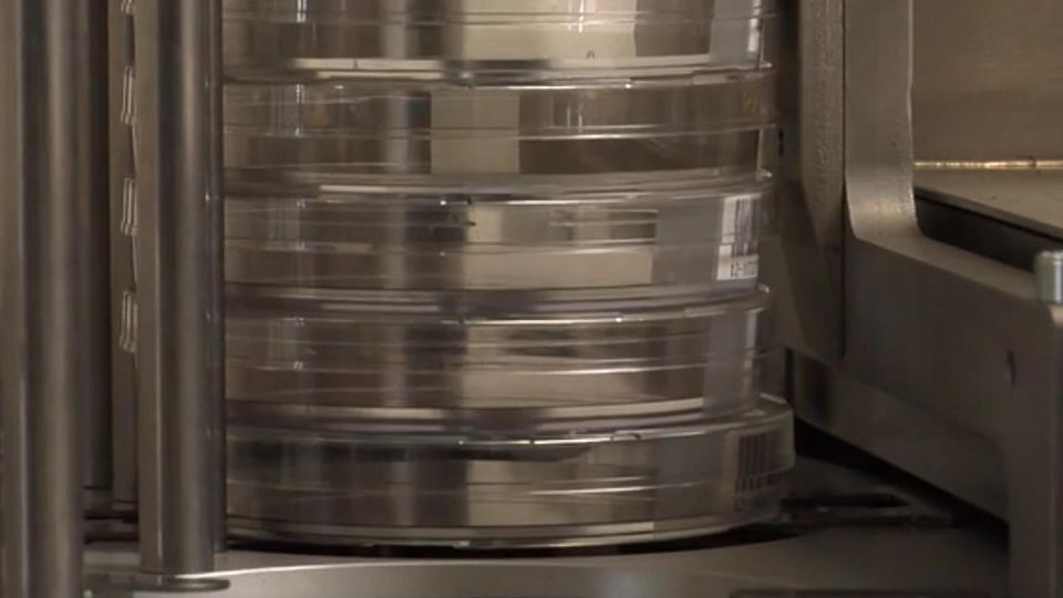 A pile of plastic agar plates.