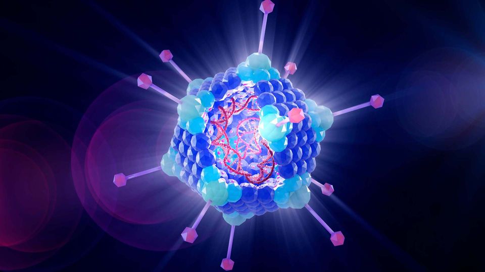 A viral vector.