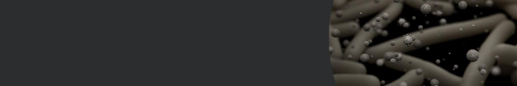 Enhanced Microbial Profiling and Metagenomics With Nanopore Sequencing featuring Dr Steven & Dr. Tianyuan Zhang  