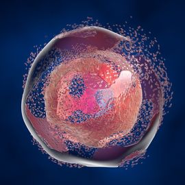A close up image of a cell breaking down 
