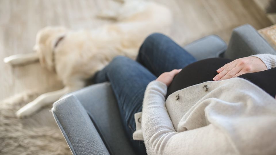 A pregnant woman sits in an armchair in front of a dog.