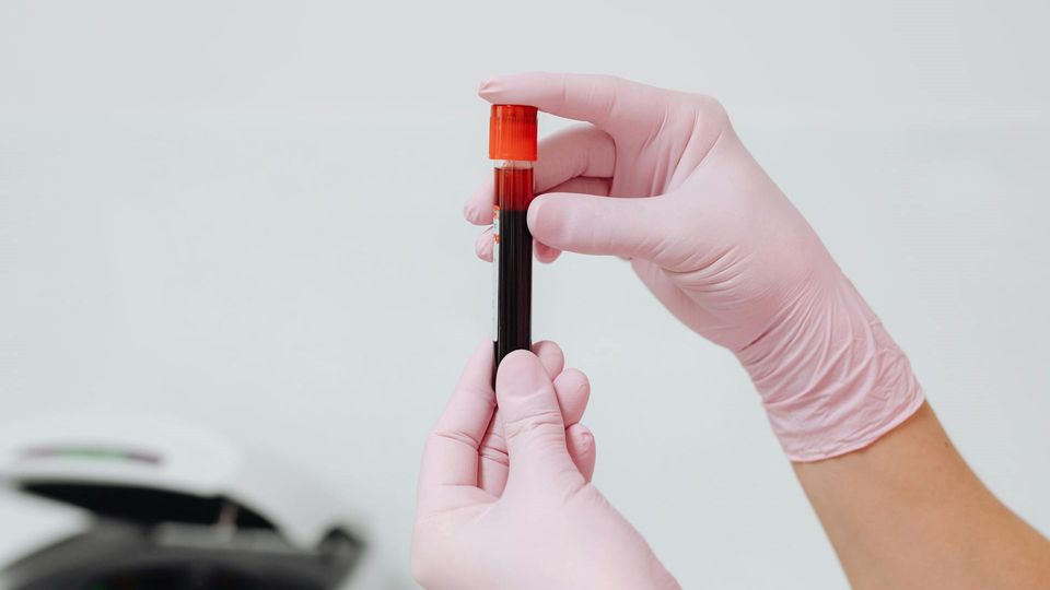 Hands in pink vinyl gloves hold a test tube containing blood.