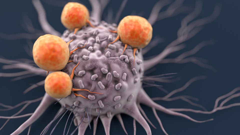Immune cells attacking a cancer cell.
