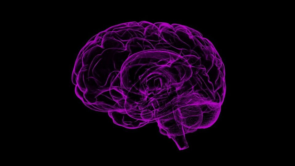 An outline of a brain on a black background.