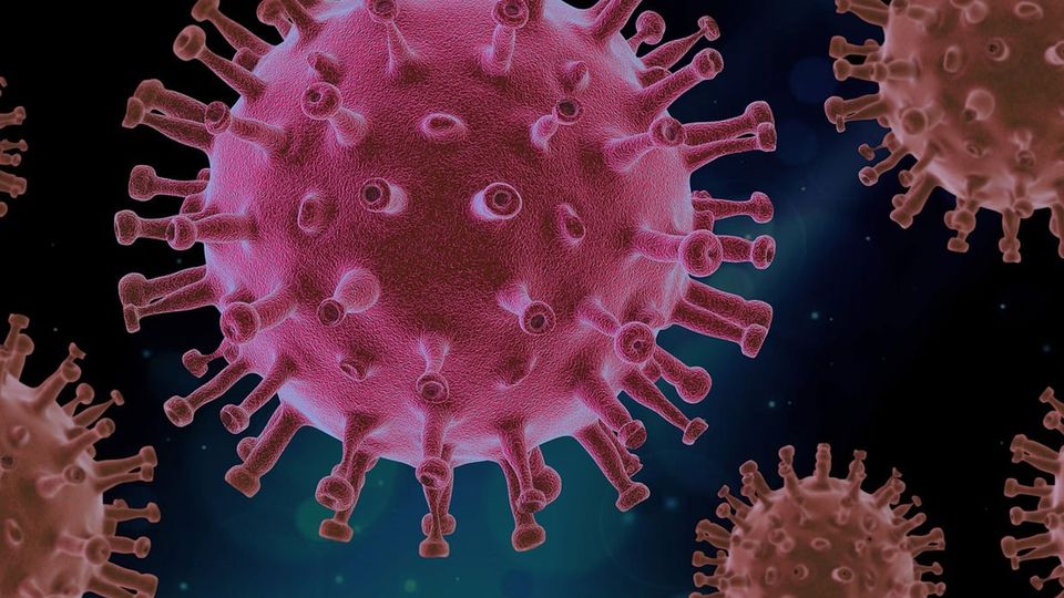A virus with sucker-like protrusions from its surface.