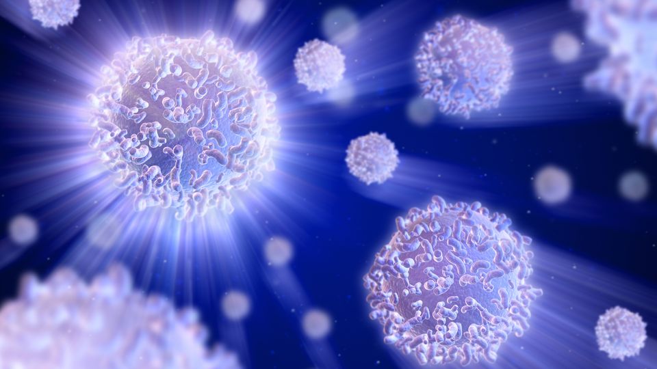T cells.