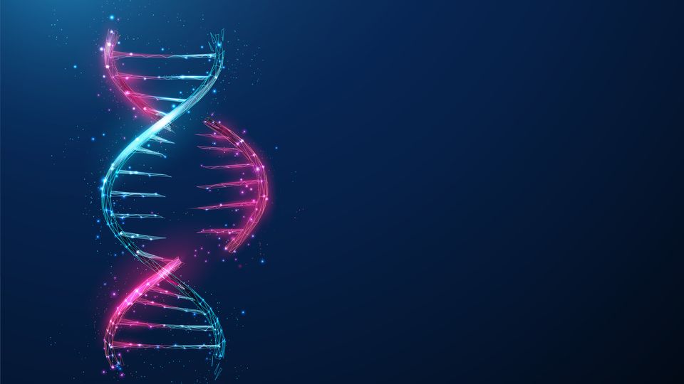 Double helix structure of DNA.