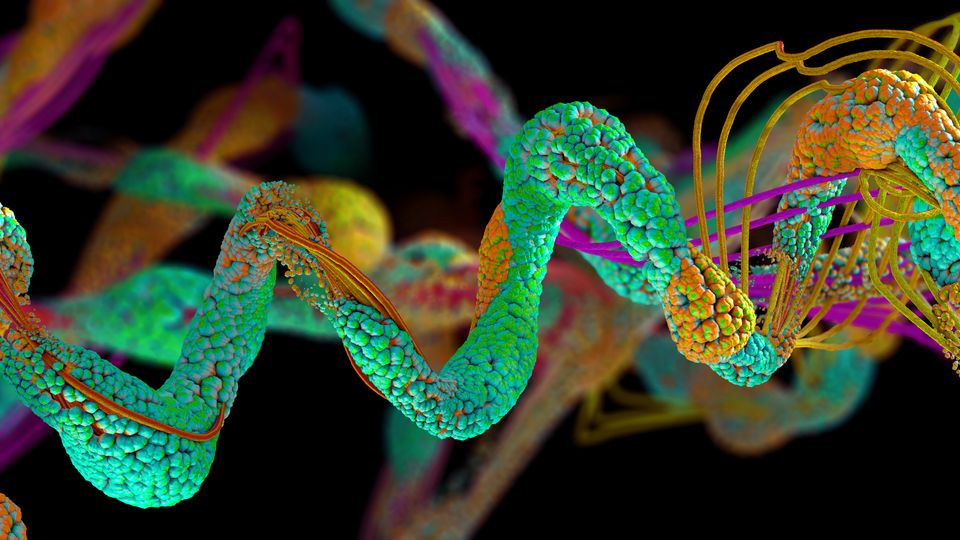 Protein structure.