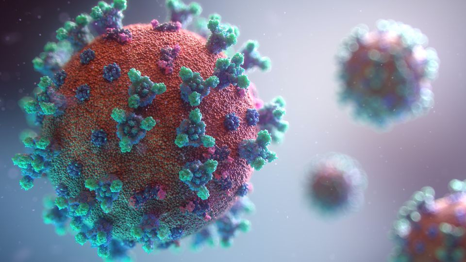 Visualisation of the Covid-19 virus.