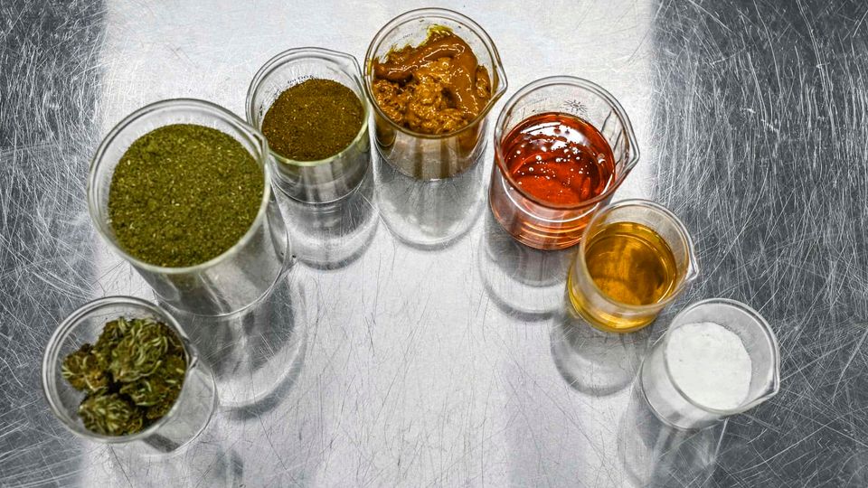 Seven glass beakers, containing the product of each stage of cannabis distillation.