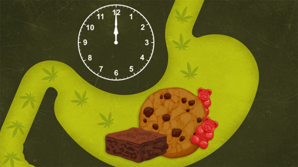 The outline of a stomach, containing pictures of gummy bears, a cookie and a brownie, with a clock above it.