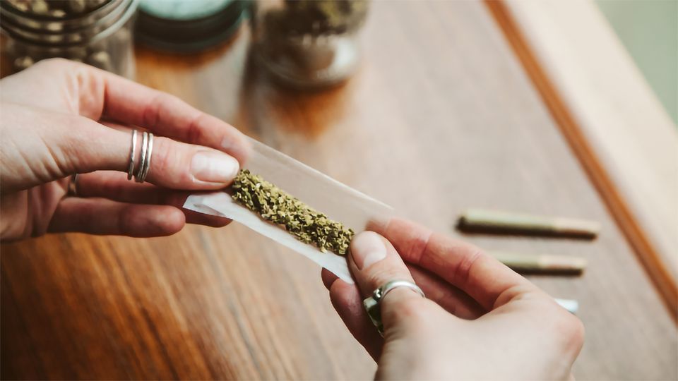A close up of hand rolling a marijuana joint containing THC, which may slow heart rate according to recent studies.