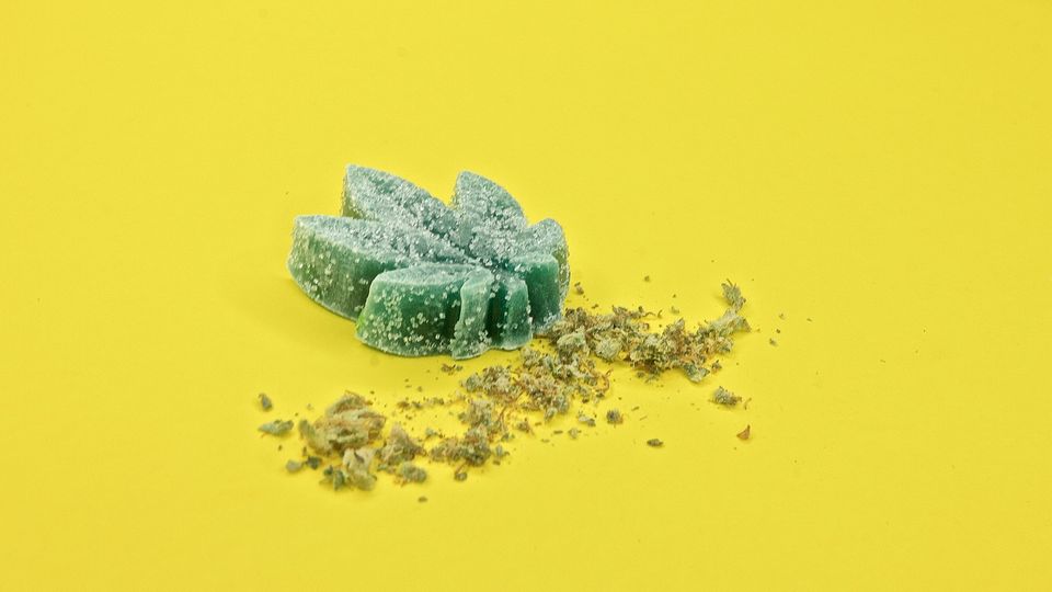 A cannabis edibles in the shape of a leaf.