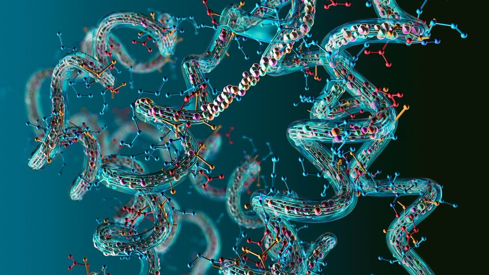 Protein structure.