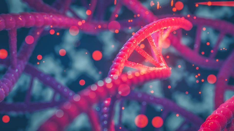 Double helix structure of DNA.
