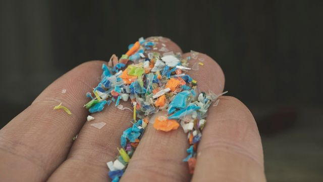 A small handful of microplastics.
