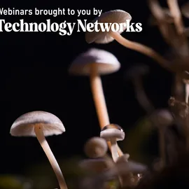Implementation of the Nation’s First Regulatory Framework for Psilocybin Services