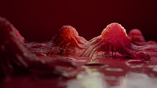 Cancer Cells May Use Lipids To Hide From The Immune System Technology