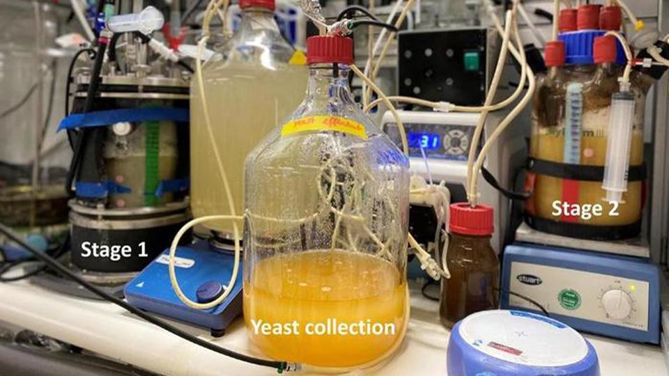 Experimental set up.
