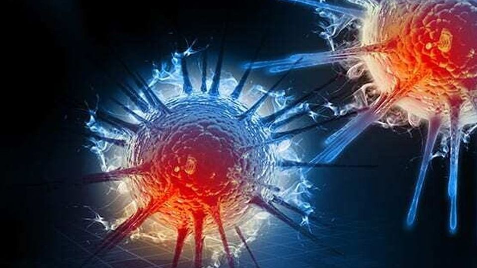 Viral particles.