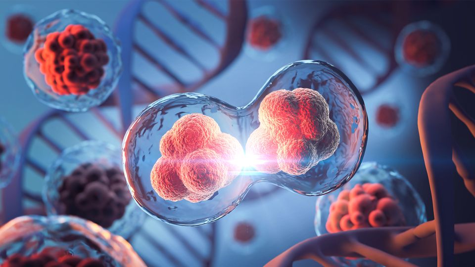 Cells dividing on a backdrop showing DNA alpha helices