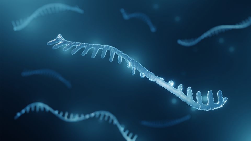One in-focus strand of RNA with a background of blurred strands.